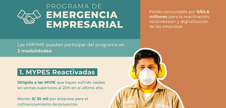 PROGRAMA DE EMERGENCIA EMPRESARIAL (PEE)